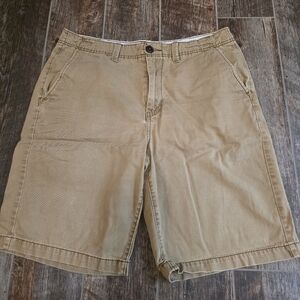 Mens American Eagle Longboard Shorts (33)